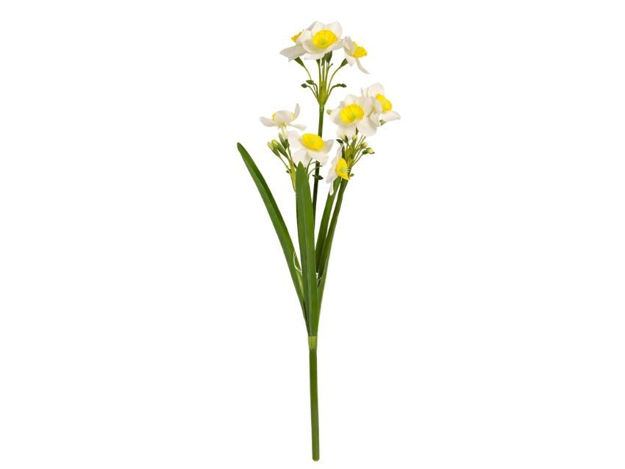 Slika Narcis 39 cm; bijela/žuta