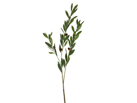 Slika Grana masline 98 cm