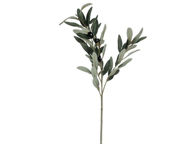 Slika Grana masline 90 cm