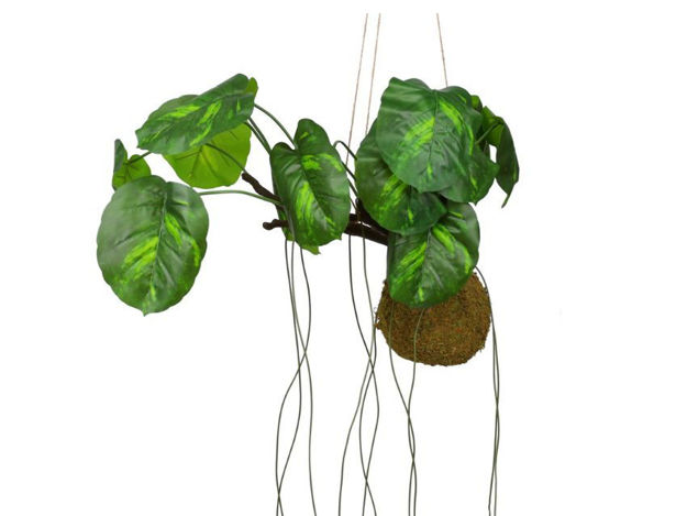 Slika Viseća dekoracija monstera mlada šarenolisna