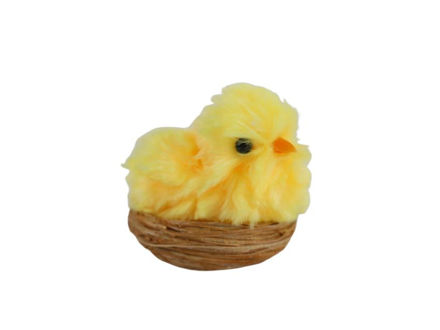 Slika Pile u gnijezdu 7x7x8cm