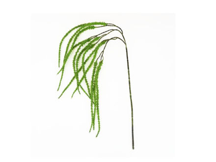 Slika Amarant/štir 91cm zelena