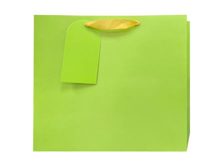 Slika Vrećica 31x26x12cm; 210g; limun zelena