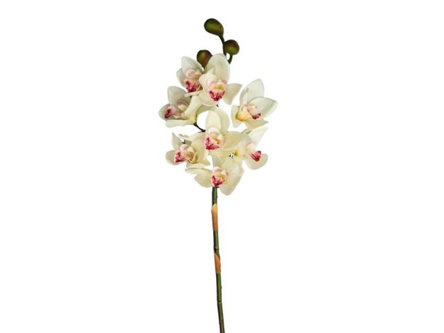 Slika Orhideja cimbidium 80 cm; bijela
