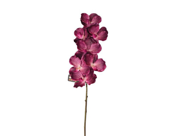 Slika Orhideja vanda 79 cm; tamna ciklama