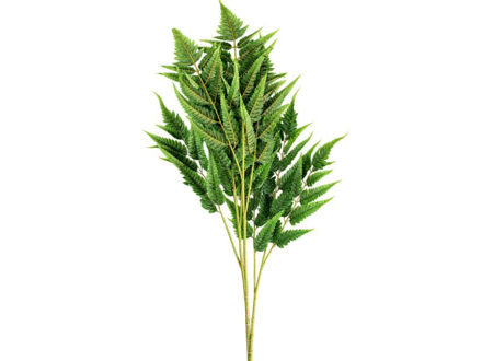Slika Grana paprati 120 cm; zelena