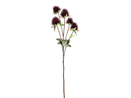 Slika Čičak 70 cm; mix boja