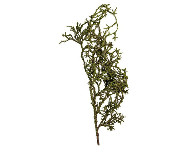Slika Grana dekorativna 70 cm