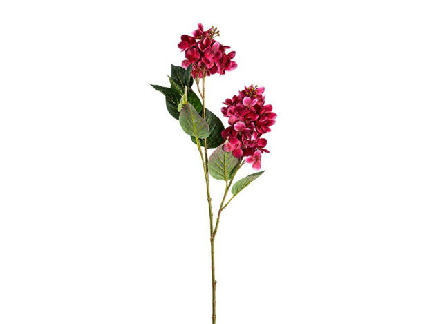 Slika Hortenzija 76 cm; t.ciklama