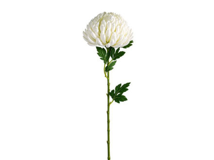 Slika Krizantema 75 cm; d15cm; krem