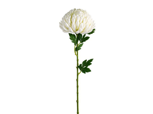 Slika Krizantema 75 cm; d15cm; krem