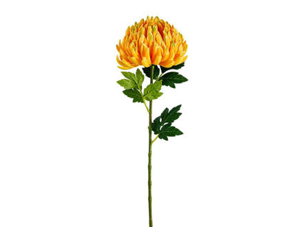 Slika Krizantema 75 cm; d15cm; žuta