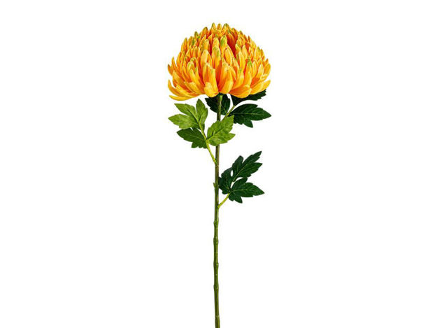 Slika Krizantema 75 cm; d15cm; žuta