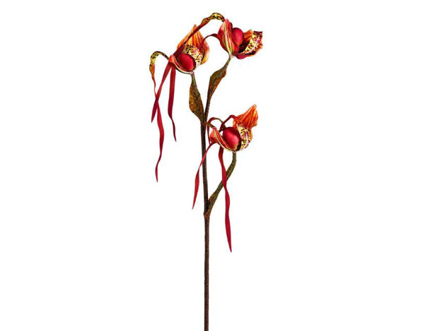 Slika Orhideja tigrasta 96 cm; roza