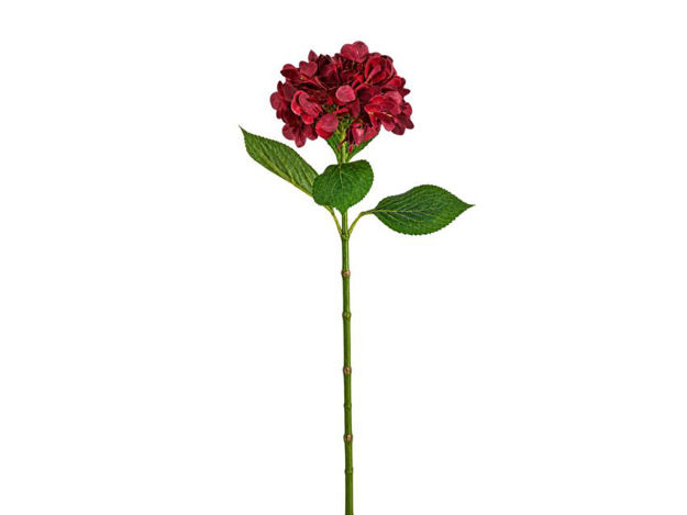 Slika Hortenzija 67 cm; ciklama