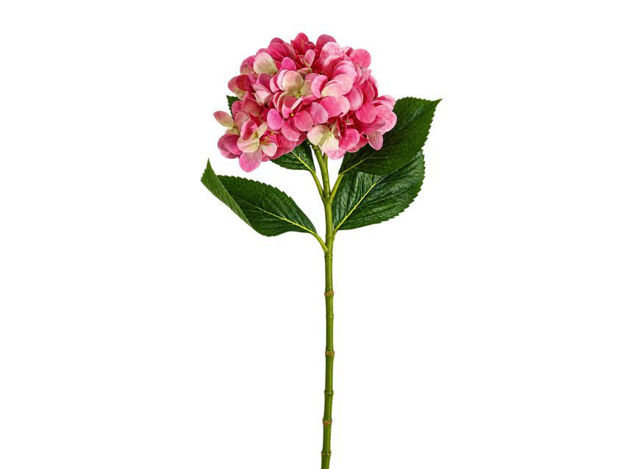 Slika Hortenzija 67 cm; svijetlo roza