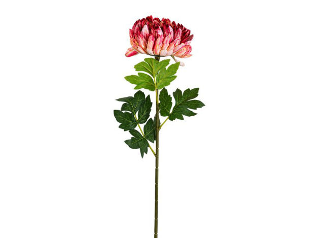 Slika Krizantema 67 cm; d10 cm; roza/crvena