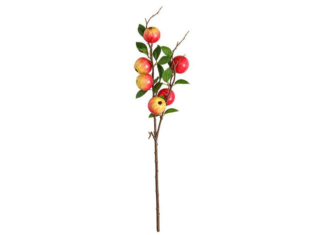 Slika Grana jabuke 73 cm; 6 plodova; žuta/crvena