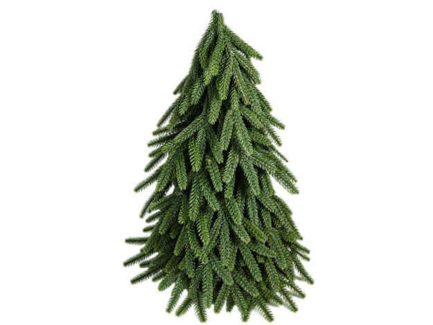 Slika Bor dekorativni h23cm; zelena