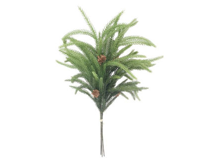 Slika Grana bora 64cm; zelena