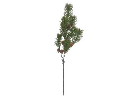 Slika Grana bora s šIškama 65cm; zelena