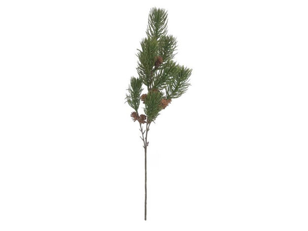 Slika Grana bora s šIškama 65cm; zelena