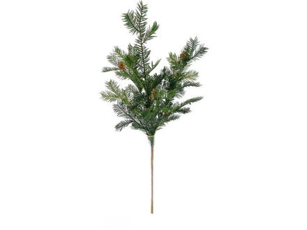 Slika Grana bora s šIškama 70cm; zelena