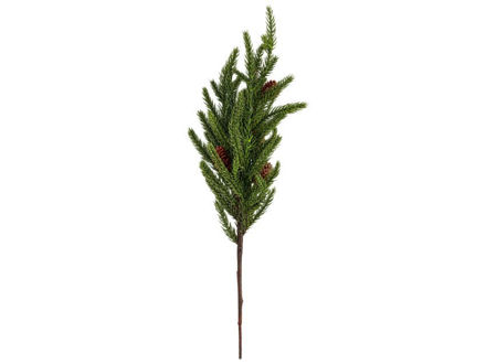 Slika Grana bora s šIškama 50cm; zelena