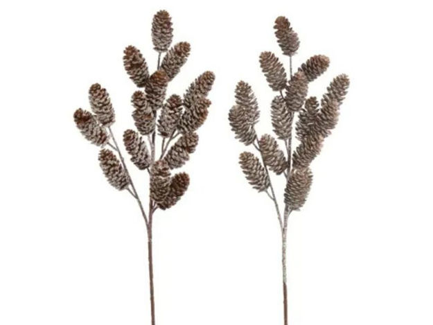 Slika Grana sa šIškama h62cm; natur