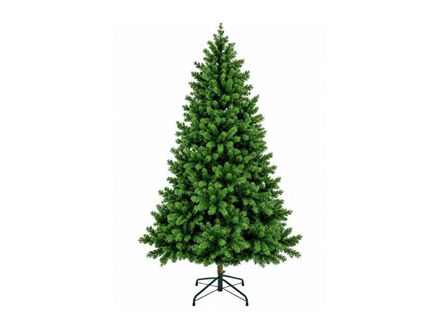 Slika Bor 210cm. Kenmore; PE; d120cm; 971 grančica