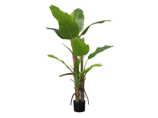 Slika Umjetno drvo banana 150 cm; 13 listova