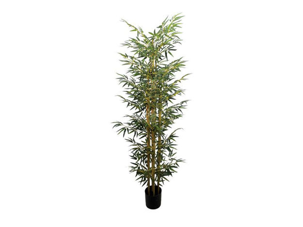 Slika Umjetno drvo bambus 210 cm;7 stapki