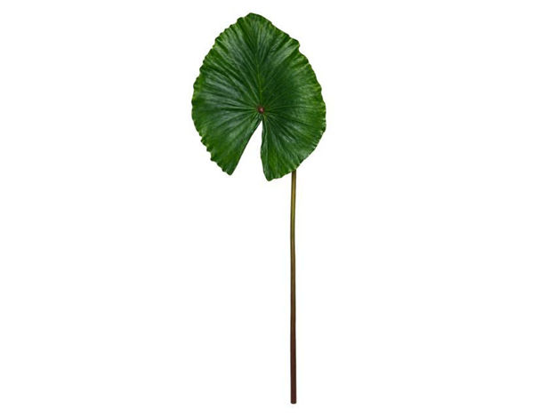 Slika Grana lotus 71 cm; zelena