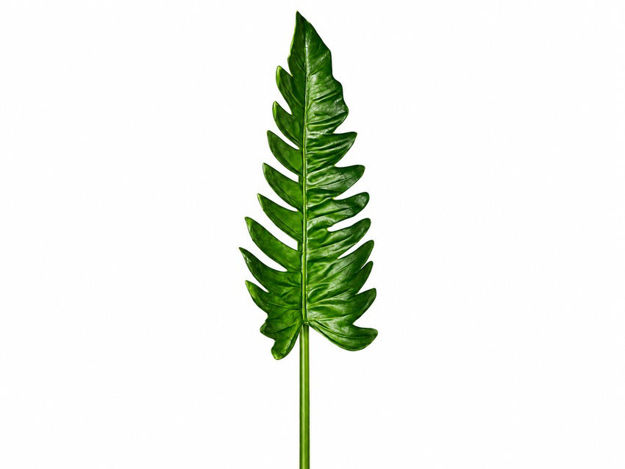 Slika Grana filodendrona 80 cm; zelena
