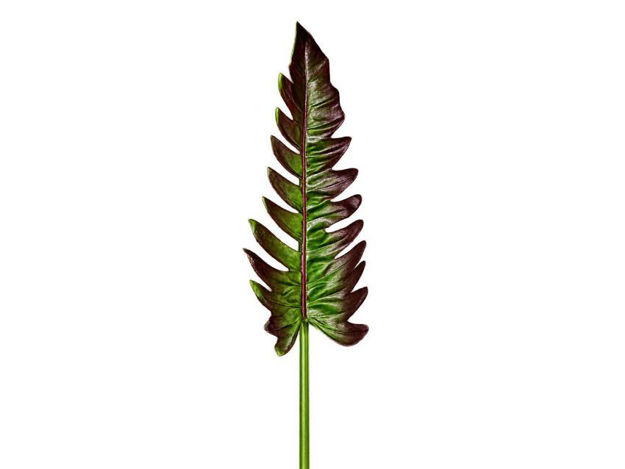 Slika Grana filodendrona 80 cm; tamno zelena