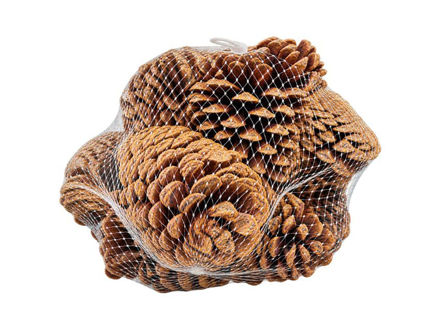 Slika ŠIške u mrežici; 5-7cm; s/10kom; natur