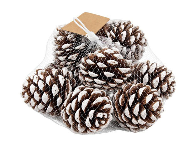 Slika ŠIške u mrežici; 5-7cm; s/10kom; bijela/natur