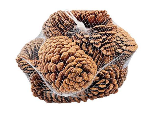 Slika ŠIške u mrežici; 5-7cm; s/10kom; natur