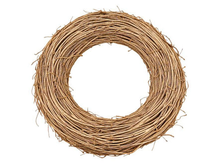 Slika Vijenac pruće 68cm; šampanj