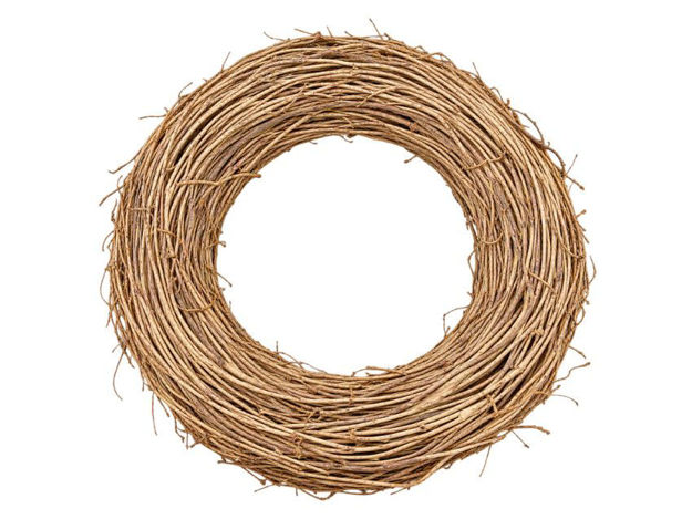 Slika Vijenac pruće 68cm; šampanj